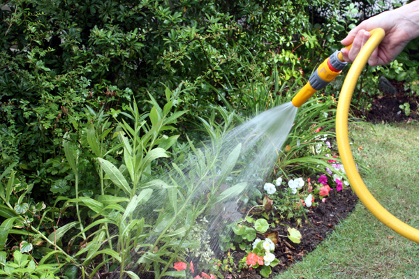 lavori in giardino con il Bonus verde