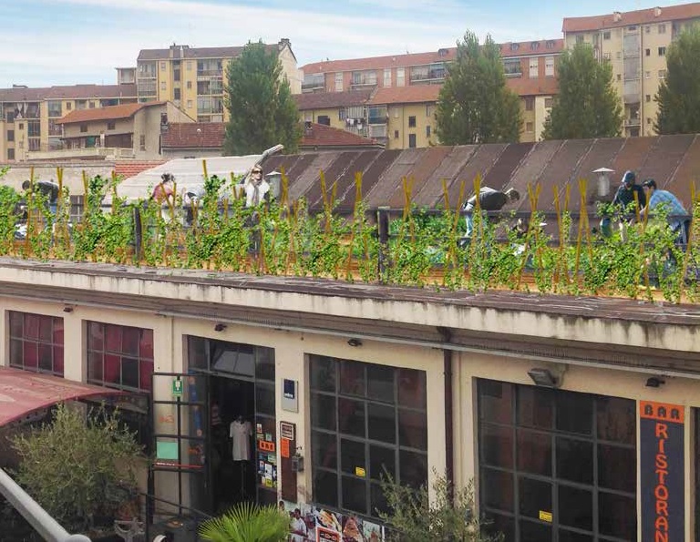 Orto sul tetto a Torino