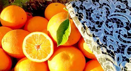 Fibre tessili alternative: viva le arance!