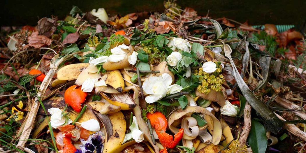 Bioplastiche sostenibili, Istituto italiano di Tecnologia di Genova Casa Naturale Bioplastiche sostenibili, Istituto italiano di Tecnologia di Genova Casa Naturale