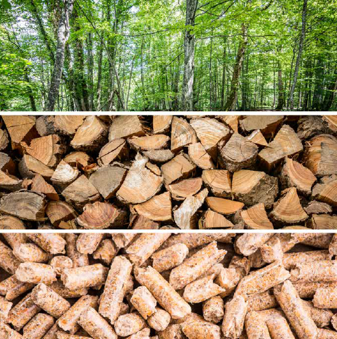 Guida alla scelta dell'impianto a biomassa