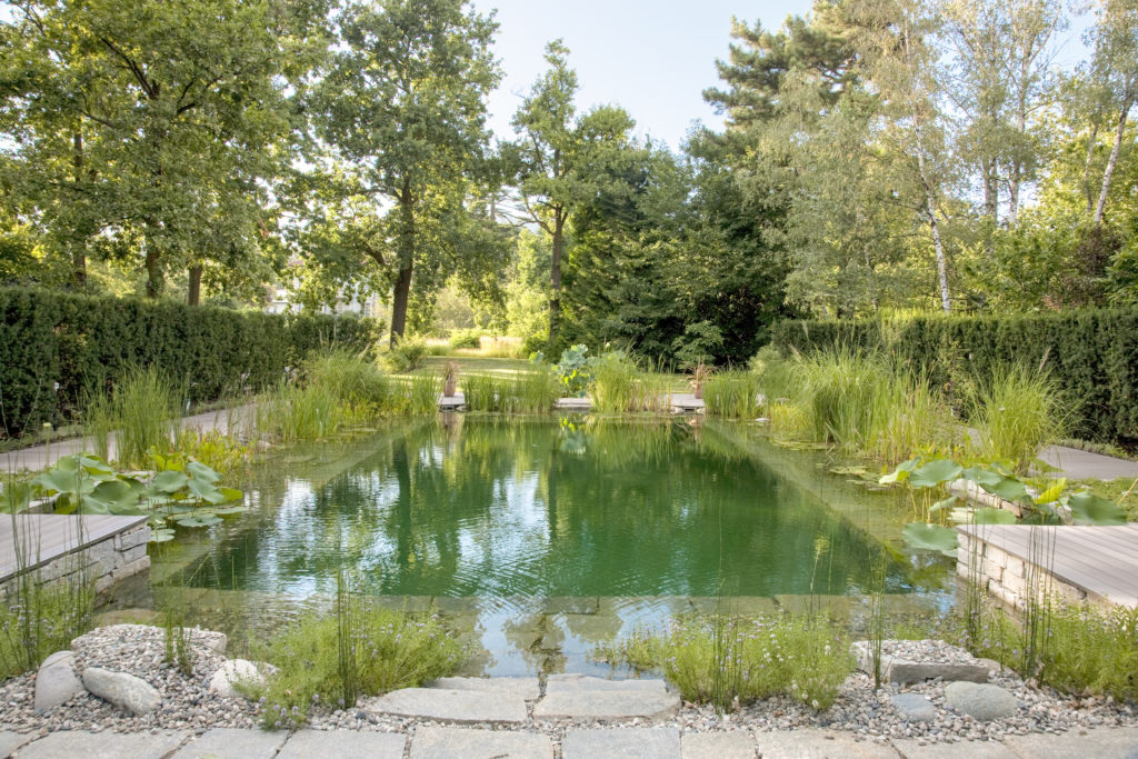 Un tuffo di qualità: come scegliere una piscina naturale