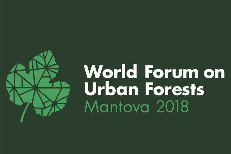 Foreste Urbane: il primo forum mondiale a Mantova