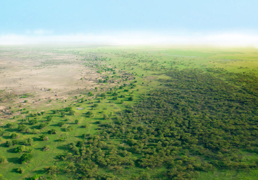 Great Green Wall: muro verde per combattere il cambiamento climatico