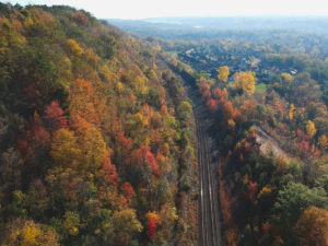 Turismo arboreo | treno del foliage