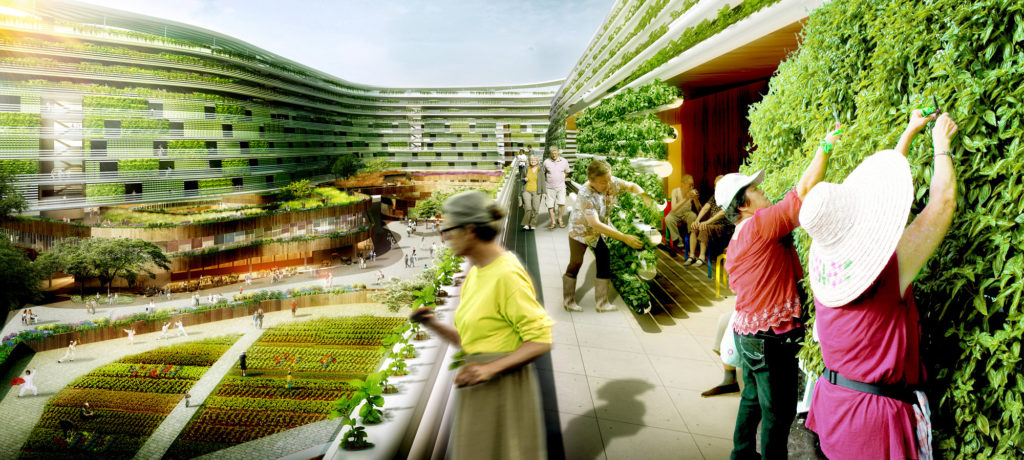 Homefarm, a Singapore il progetto di una fattoria urbana e casa di riposo