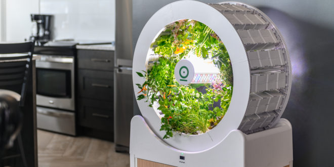 ogarden | giardino in casa | orto in casa| domotica | innovazione