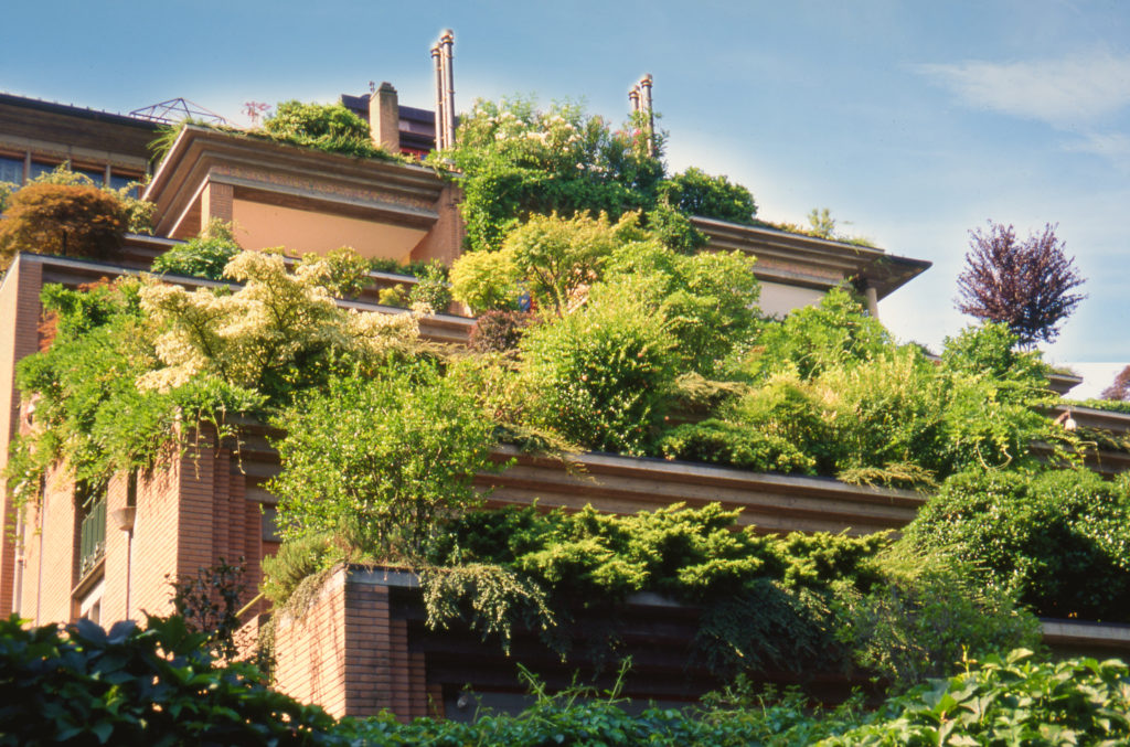 verde sui tetti | giardini pensili | verde in città | alta quota