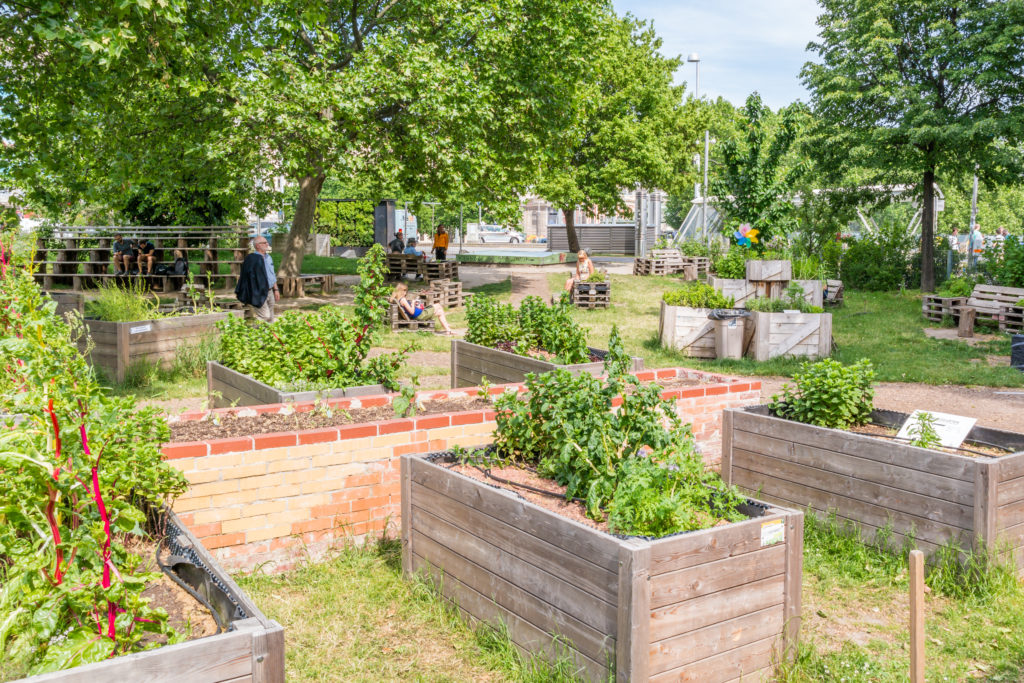 verde | orti urbani | coltivare la città | salubrità e condivisione