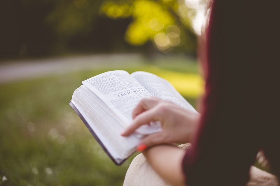 ragazza legge libro nella natura | biblioteca nel bosco | alberi