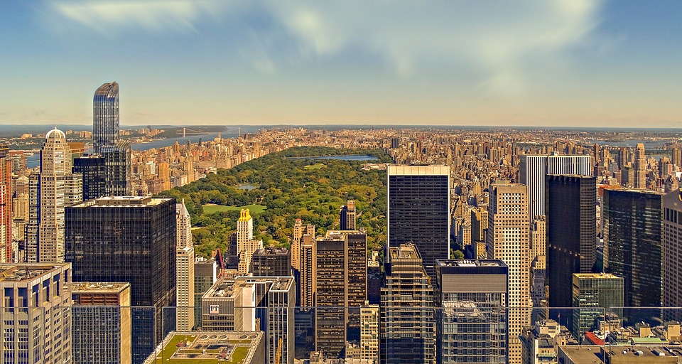 green roofs a new york | tetti verdi | riduzione co2 | green attitude | sostenibilità