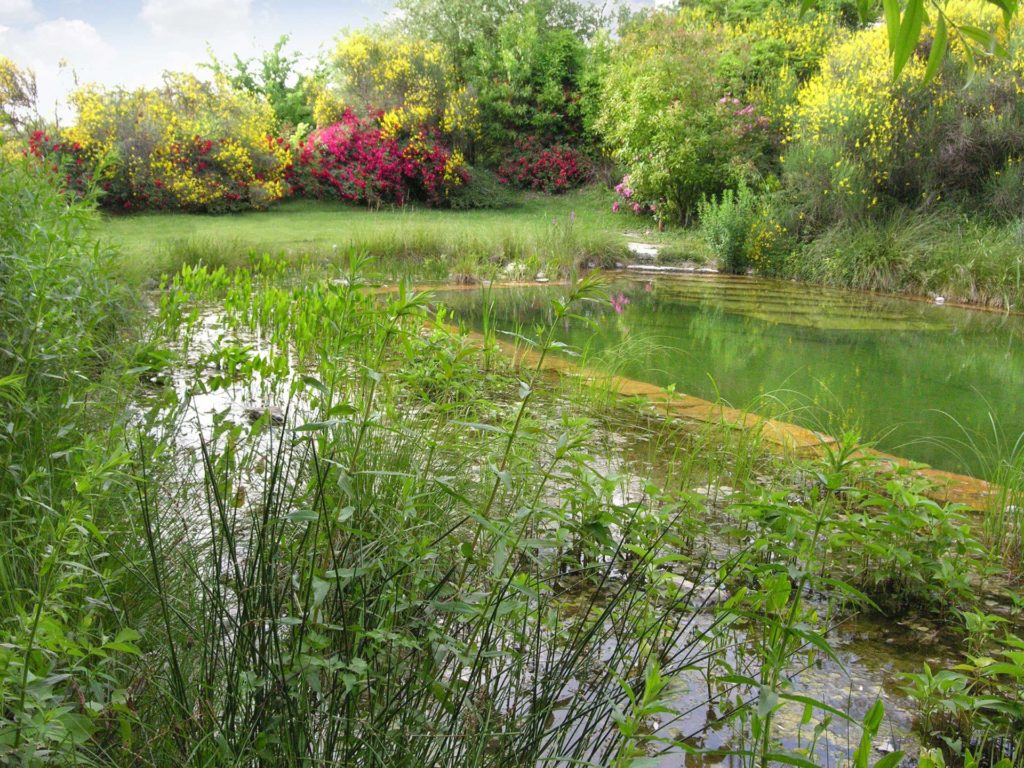 Oltre la piscina. Nuotare in un biolago