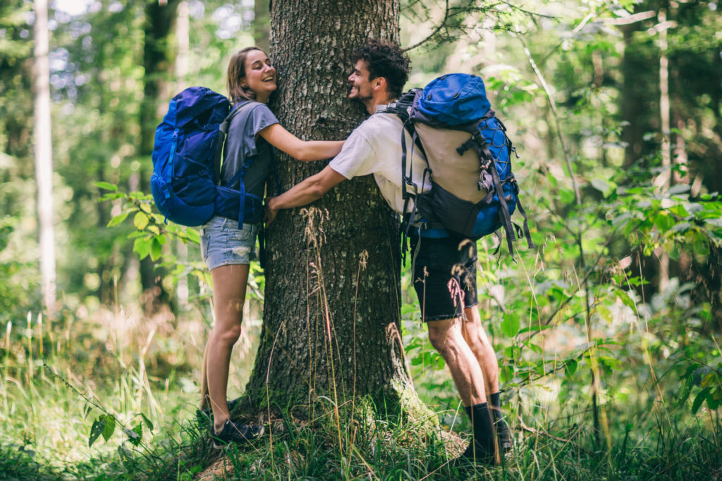 Terapia forestale domestica: il legno