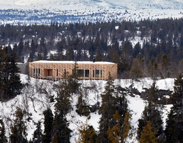 Sospesa sulla neve di Norvegia