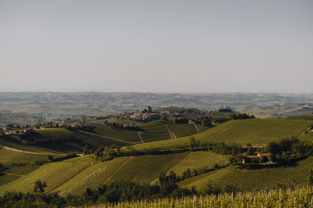 Una finestra sulle Langhe