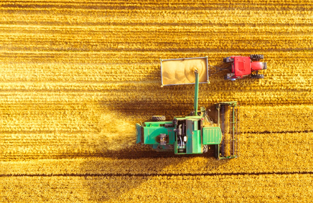 L'uso di pesticidi nell'agricoltura