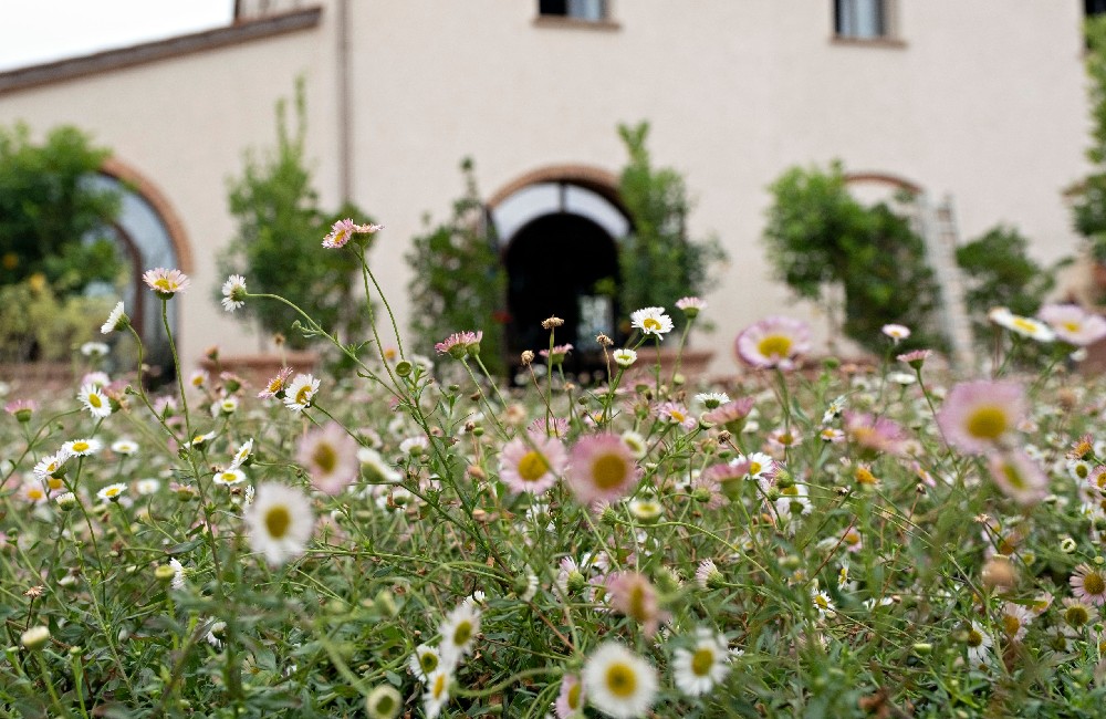 Tutto il lusso della natura