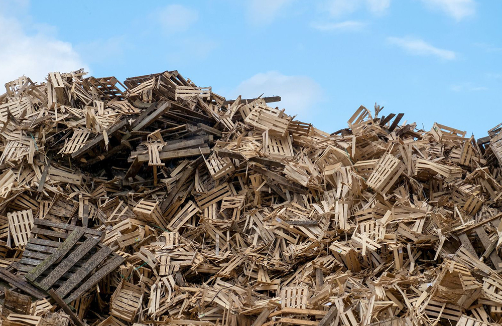 Legno, da rifiuto a risorsa