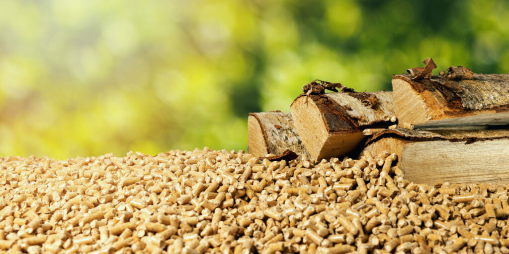 Biomassa: derivati dal legno