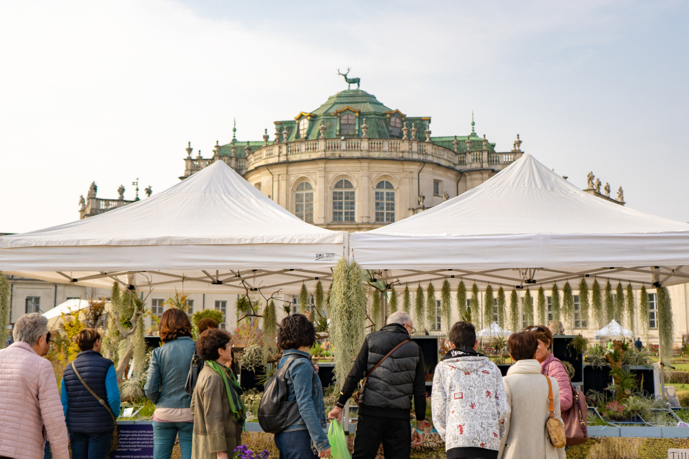 A Torino 3 giorni di mostra mercato per vivere con piante e fiori