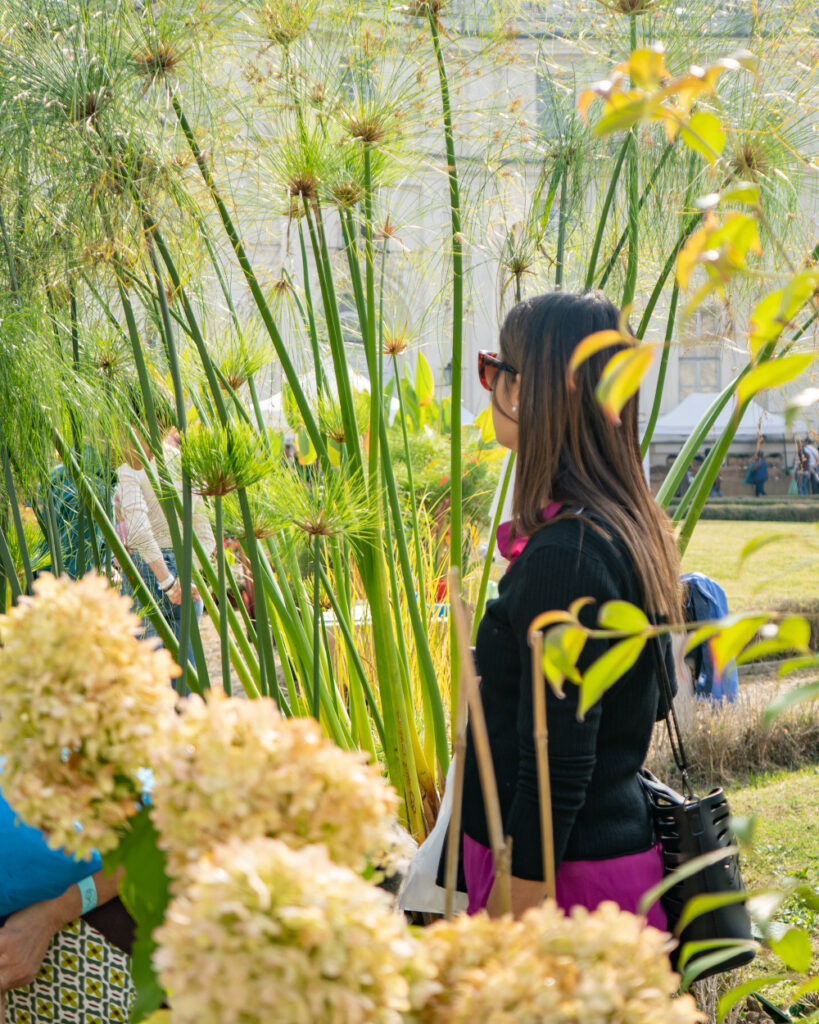 A Torino 3 giorni di mostra mercato per vivere con piante e fiori