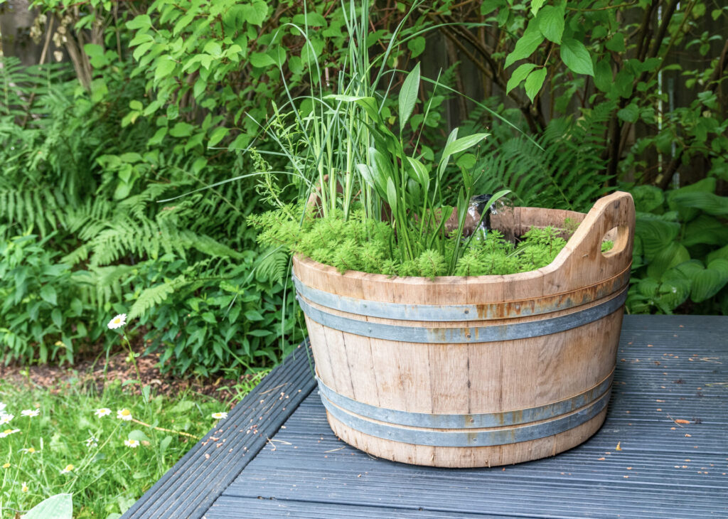 Piccoli stagni e minipond: oasi e biodiversità in giardini, terrazzo, balcone
