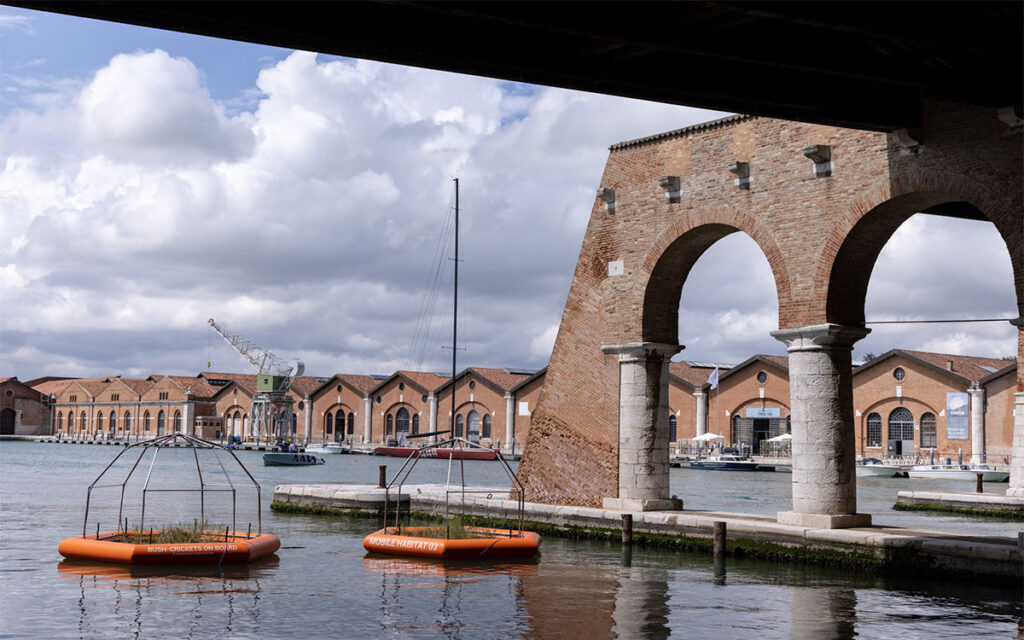L'installazione sonora e visiva installazione sonora e visiva dedicata agli insetti urbani alla Biennale di Venezia 2025