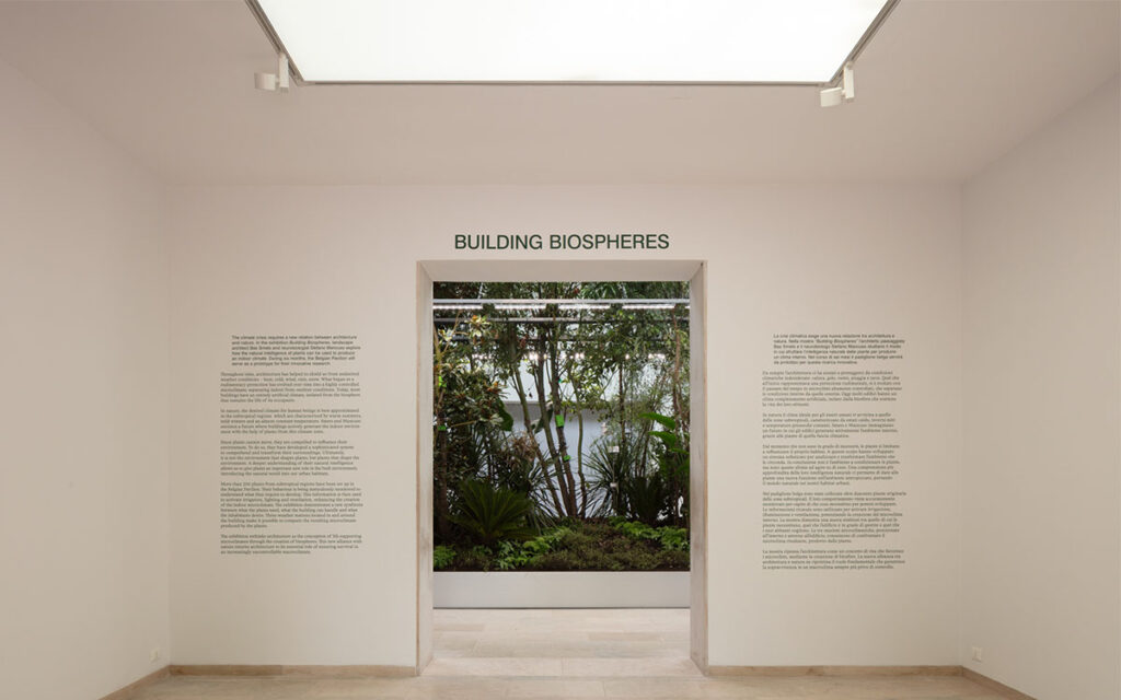 L'igresso ai micro-ecosistemi di Building Biospheres, nel padiglione belga della Biennale di Venezia 2025