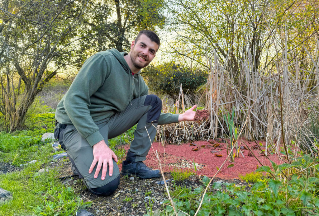 Piccoli stagni e minipond: oasi e biodiversità in giardini, terrazzo, balcone