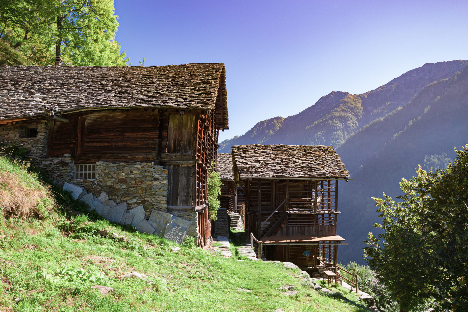 Abitare il legno
