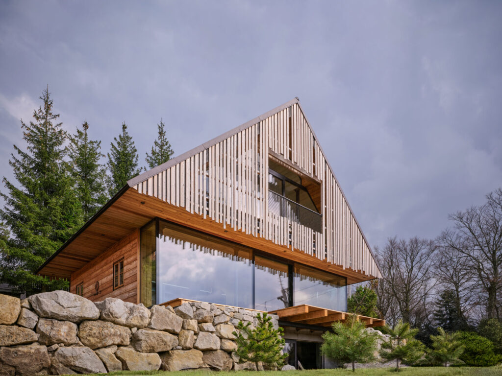 Trama di luce e radici in legno