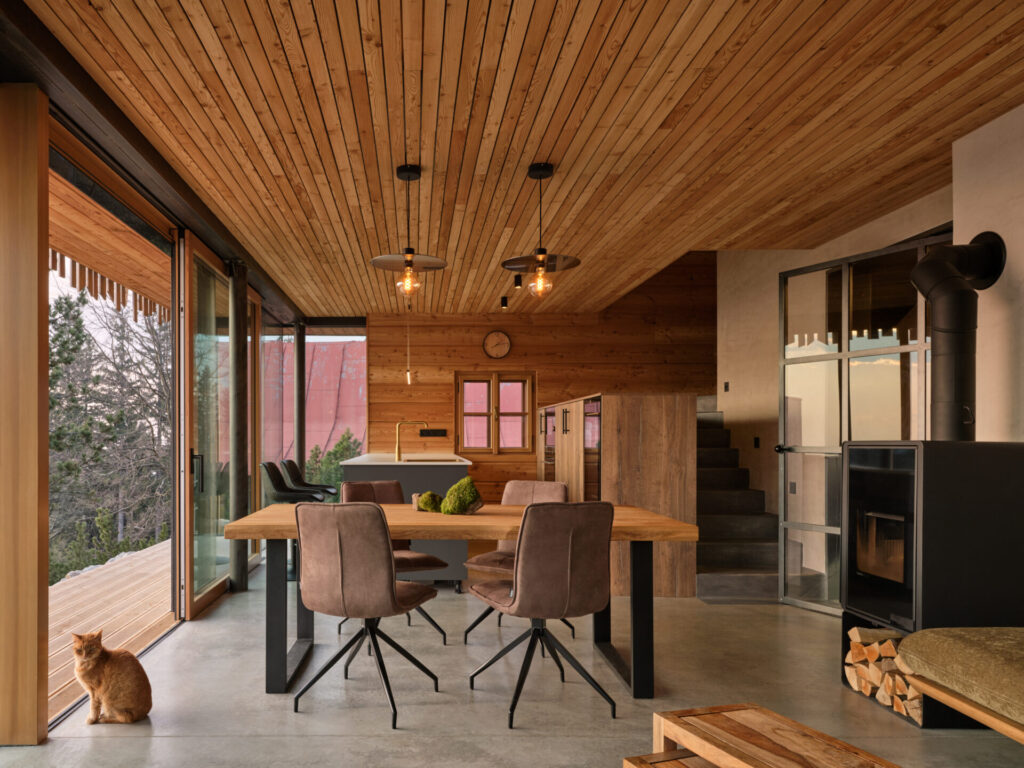 Trama di luce e radici in legno