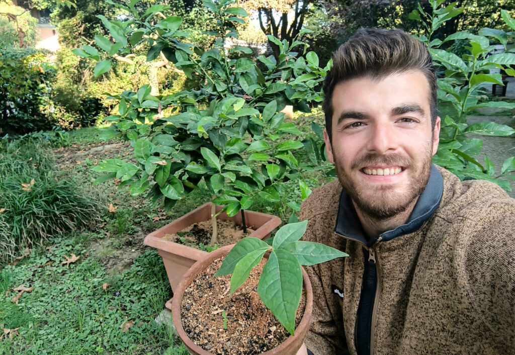 Agrumi: coltivarli, moltiplicarli, scoprirli