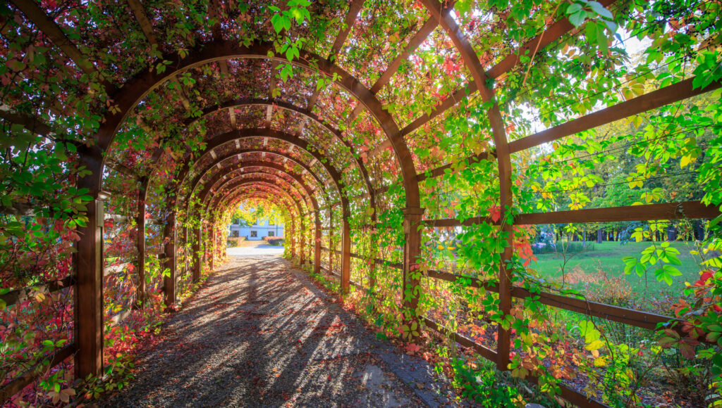 Natura addomesticata