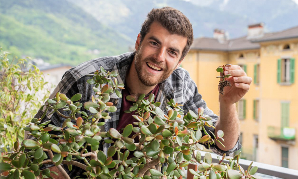 Bellezza e produttività tutto l'anno