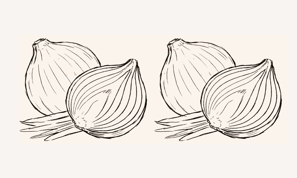 Preparare il corpo con la cipolla