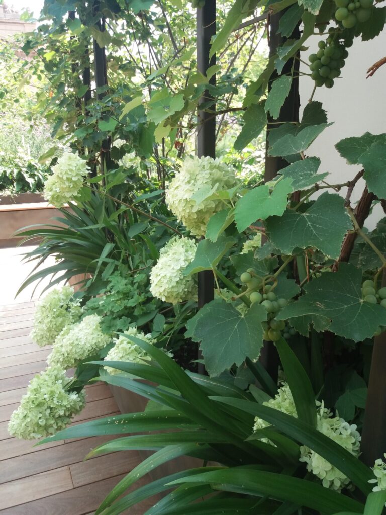 La festa segreta dei fiori