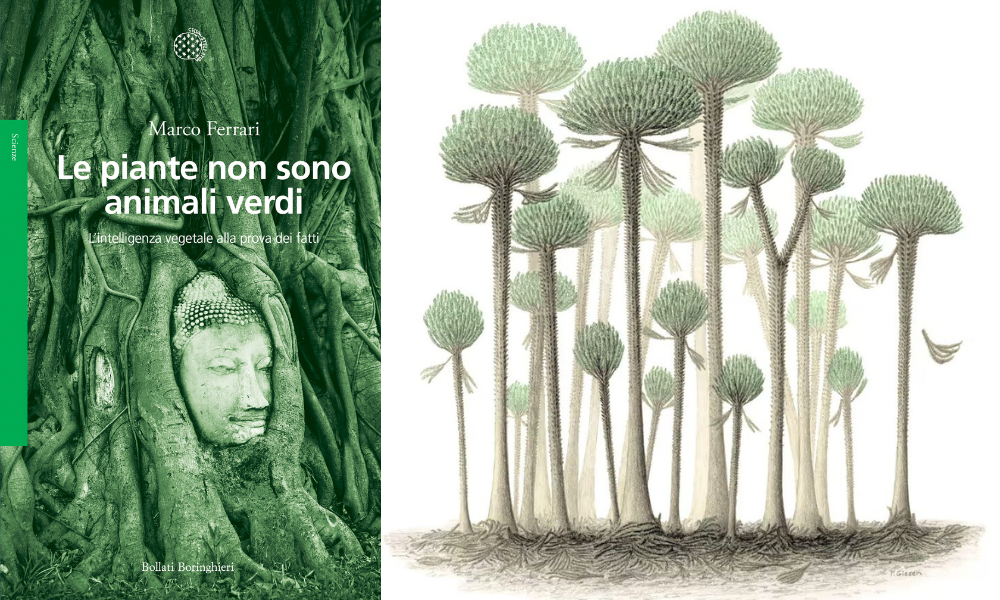 Un mondo alieno