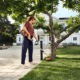 macchine da giardino a batteria Husqvarna, bordatore